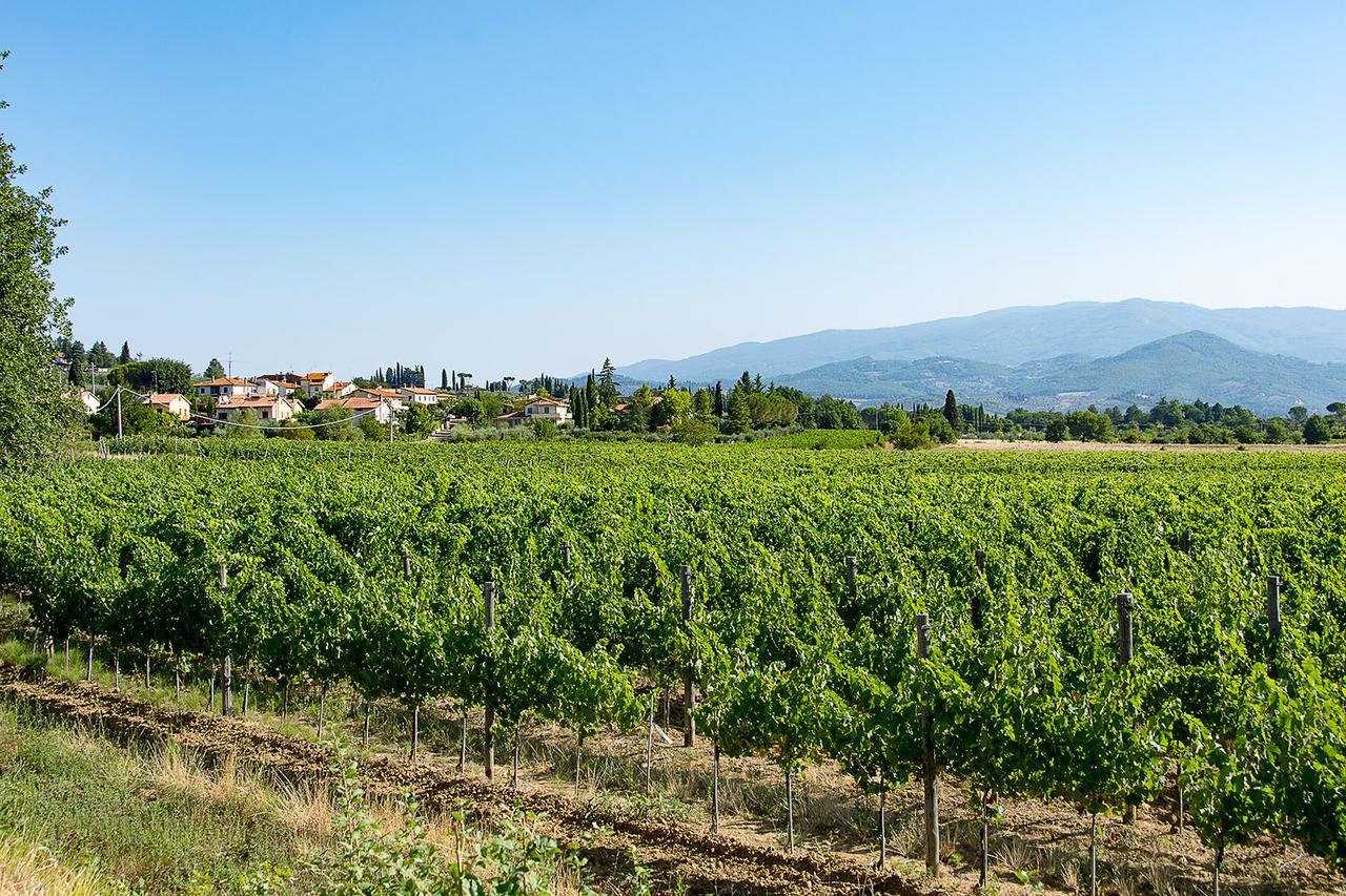 Agriturismo Albergotti Arezzo Buitenkant foto